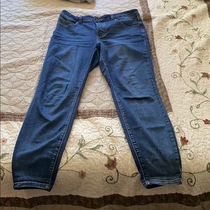 Size 12 Reg. Maurice’s High Rise Everflex